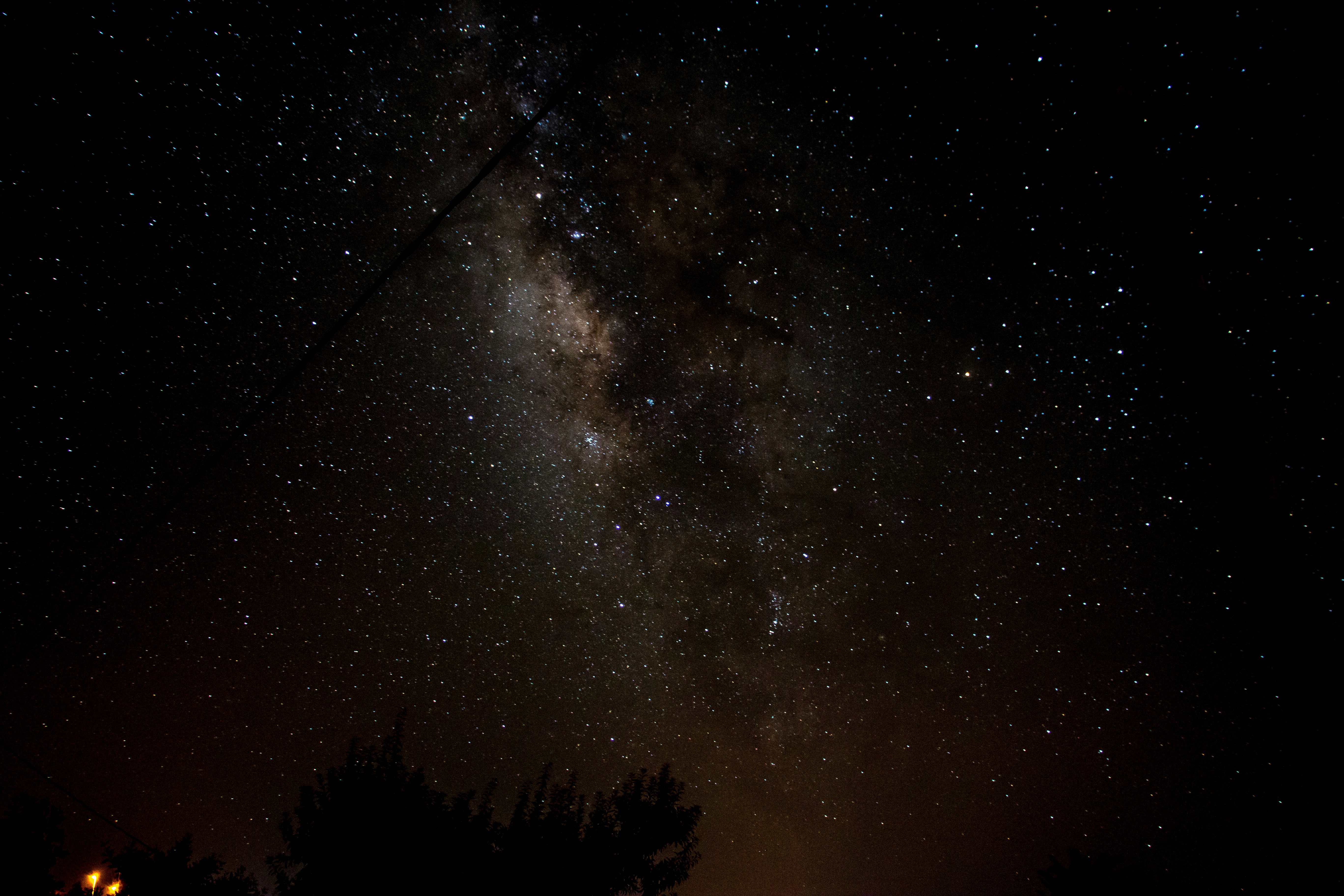 silhouette of trees under starry night